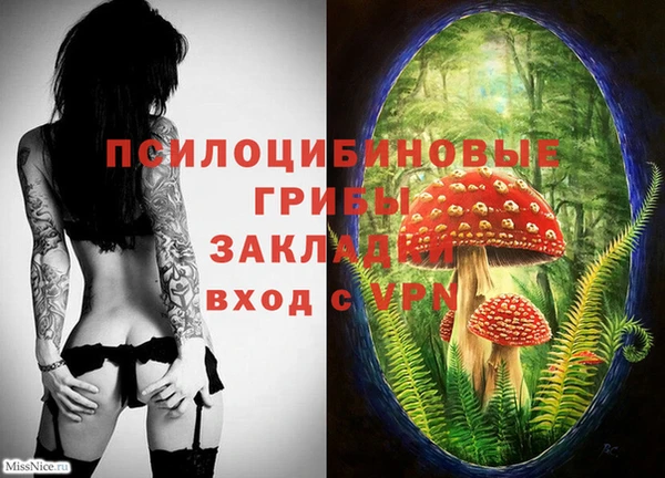герыч Алзамай