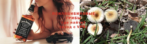 герыч Алзамай