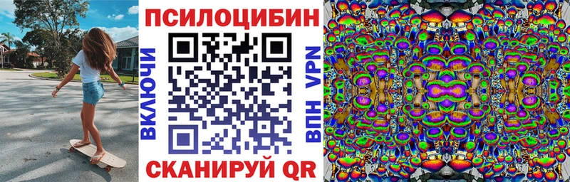 купить наркотик  Алексеевка  Галлюциногенные грибы Psilocybine cubensis 