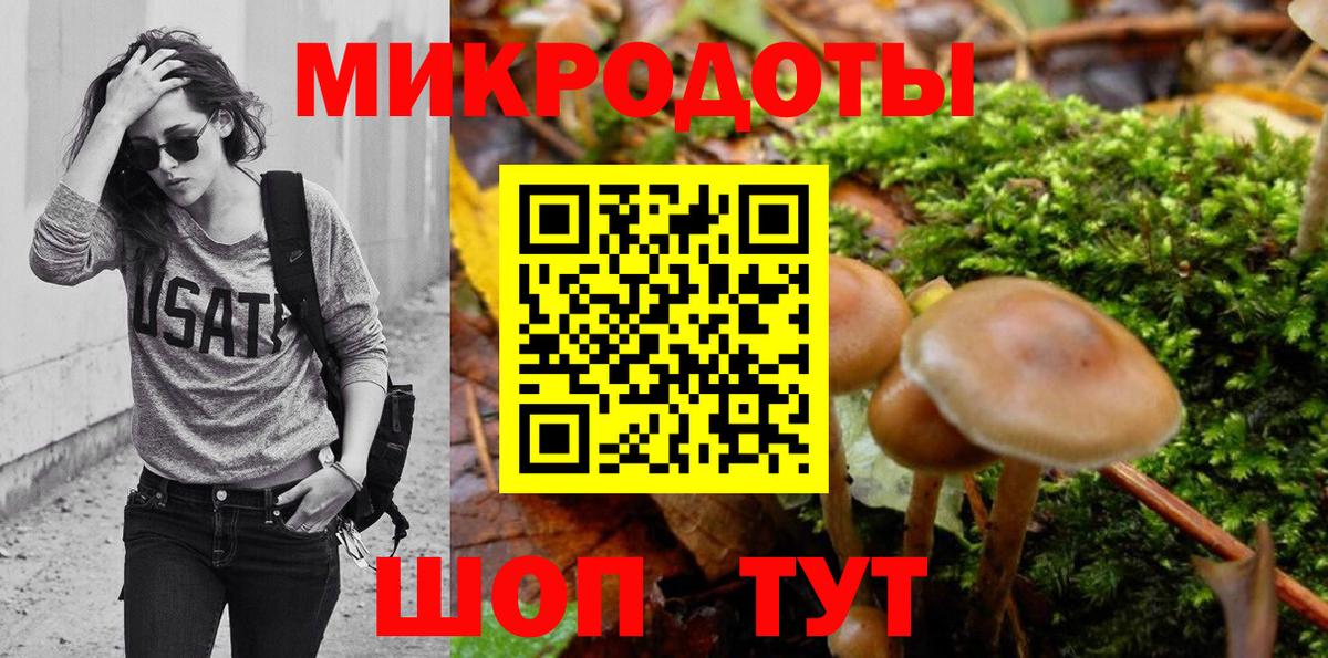 Галлюциногенные грибы Psilocybe  Вход с VPN  купить наркотики сайты  Алексеевка 